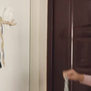 Singing Birds Hanger: Bird Shaped Coat Hanger, 3D Wall Decoration